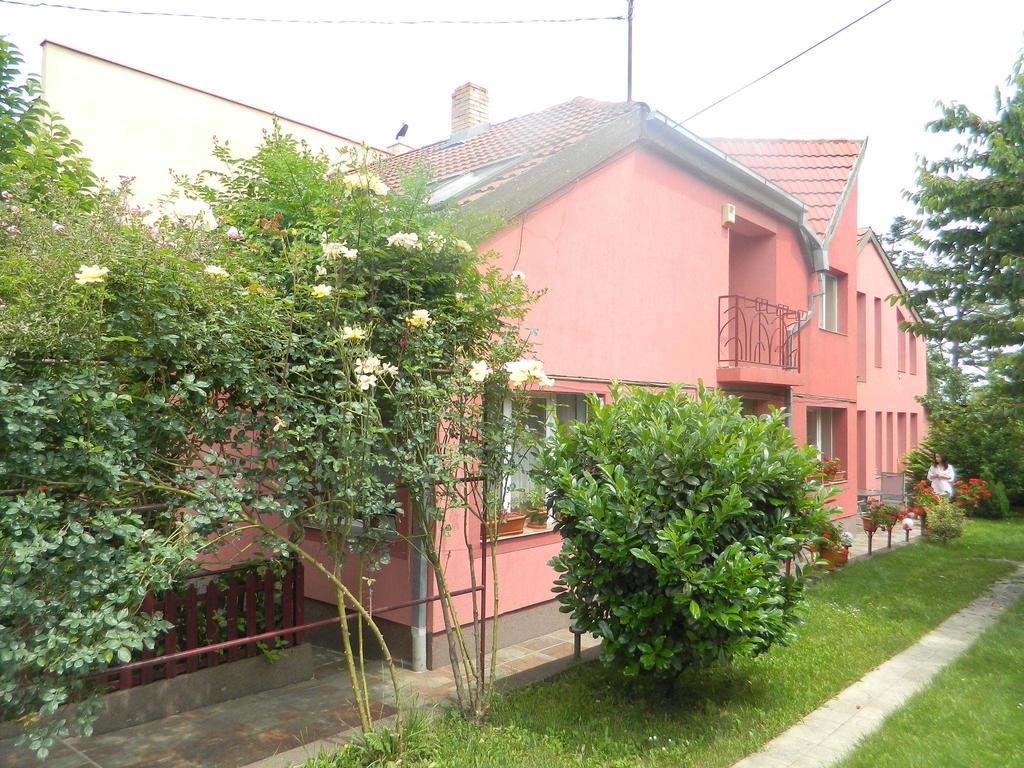 Hotel Cazare Vio Cluj-Napoca Exterior foto